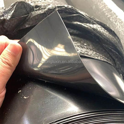 シンガポール 魚類 エビ飼育 防水 HDPE 地膜 0.3mm 現場検査