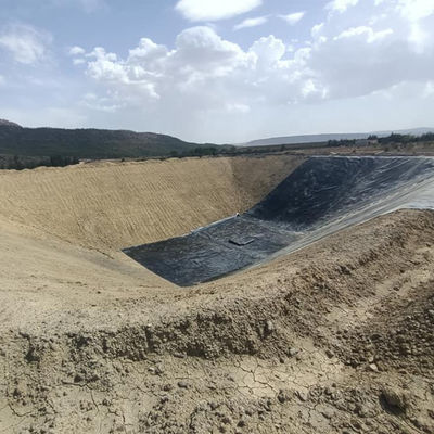 1mm HDPE 地膜 ラインナー 魚 シュリンプ 養殖 池 サービス 寿命 10年