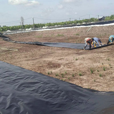 0.2mm-3mm 厚さ 防紫外線 HDPE 池保護用 池保護用