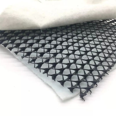 密度 ポリエチレン プラスチック 3d コンポジット 排水網 化学スラッグヤードのためのジオネットダム