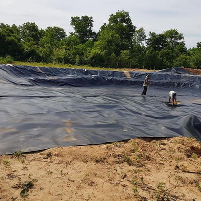 1mm 0.75mm 地膜 防UVHdpe プラスチック 農場 タンク 長さ 50m-100m/ロール