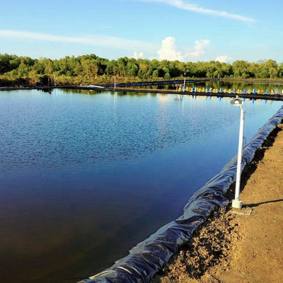 0.1mm-3.0mm HDPE ソルマックス パーマボイド 高柔軟性のための防水地質繊維膜