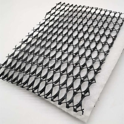 HDPE メッシュ 3D複合排水 複合ジオネット 貯水池用ジオネット 長さ100m