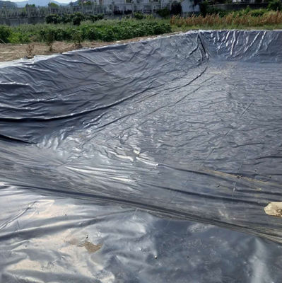 2mm HDPE プラスチック プール ラインナー 魚タンク 防水 ラインナー あなたの農業 ニーズ