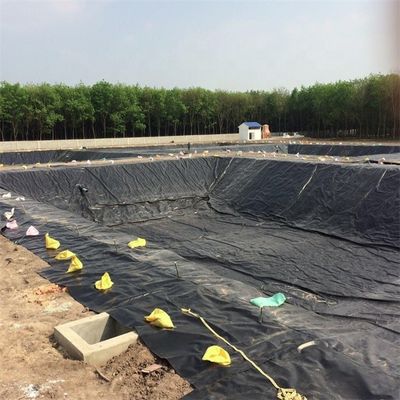 2mm HDPE プラスチック プール ラインナー 魚タンク 防水 ラインナー あなたの農業 ニーズ