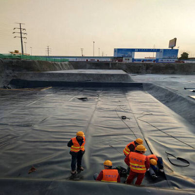 ASTM GM13 標準 HDPE 地膜 ラインナー 0.3mm 0.5mm 0.75mm 1mm 国市場向け