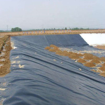 ASTM GM13 標準 HDPE 地膜 ラインナー 0.3mm 0.5mm 0.75mm 1mm 国市場向け