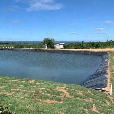 標本 湖のタンク ダムの敷き布団 水泳池 魚の池 養殖場