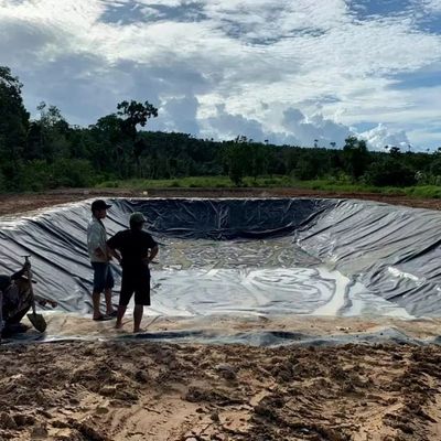 1.0mm HDPE 魚池用 地膜 幅 1~6m 化学物剤耐性 黒い 地膜