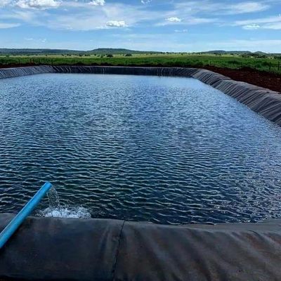 1.0mm HDPE 魚池用 地膜 幅 1~6m 化学物剤耐性 黒い 地膜