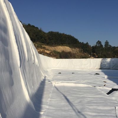 密度 ポリエチレン プラスチック 複合 ジオネット 究極の道路排水ソリューション