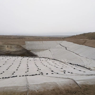 HDPE 3D 塩壁排水 地質複合網 ゴミ捨て道路 庭園排水