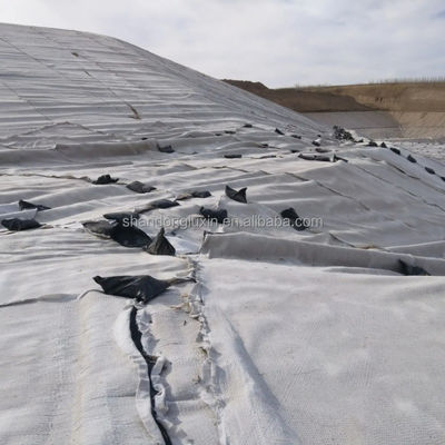 HDPE 3D 塩壁排水 地質複合網 ゴミ捨て道路 庭園排水