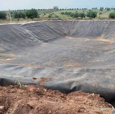 HDPE 防水素材 魚場 地膜 黒 青 緑色 食事用