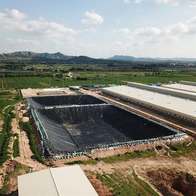 HDPE 防水素材 魚場 地膜 黒 青 緑色 食事用