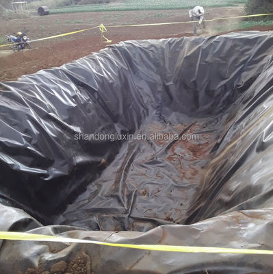 1mm 1.5mm 2mm HDPE 地膜 溶接 機械 水産物 農業 需要 向け