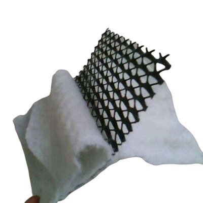 プロジェクトのための総ソリューション 6mm 厚さ ペスト 地質繊維 複合排水 ジオネット