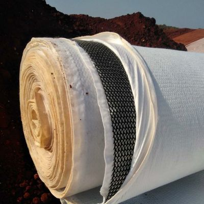 水抜き機能 6mm 厚いプラスチック排水 複合用ジオネットの真ん中に