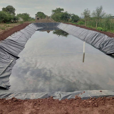 長さ 50m-100m/ロール HDPE 魚場池用ジオメムランライン 0.5mm 1.0mm 1.2mm 2mm
