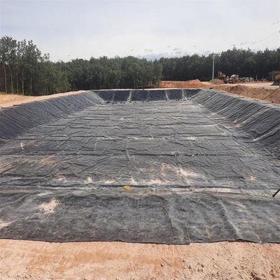 魚の池ラインナー HDPE 地膜 1mm 1.5mm 現場検査と紫外線防止
