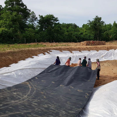 黒 白 緑 青 HDPE 地膜シート 魚場 池の敷き布団のための最良の選択