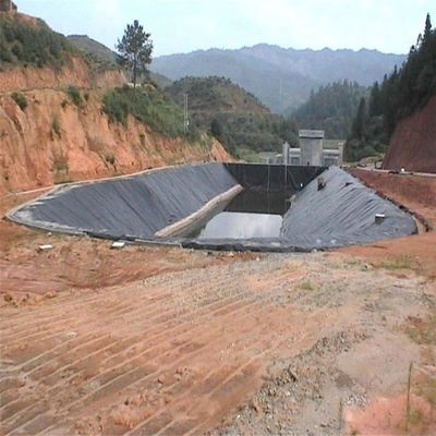 黒 白 緑 青 HDPE 地膜シート 魚場 池の敷き布団のための最良の選択
