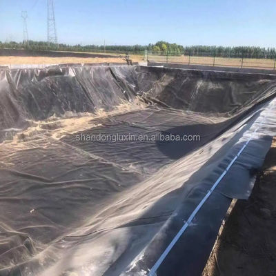 黒 白 緑 青 HDPE 地膜シート 魚場 池の敷き布団のための最良の選択