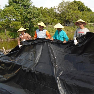 総ソリューション プロジェクト 0.5mm HDPE 滑らかな質感 黒のジオメムラン 魚場 池面