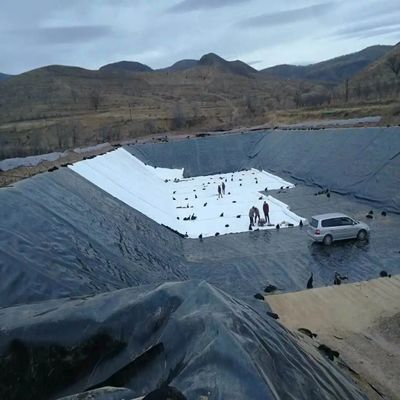総ソリューション プロジェクト 0.5mm HDPE 滑らかな質感 黒のジオメムラン 魚場 池面
