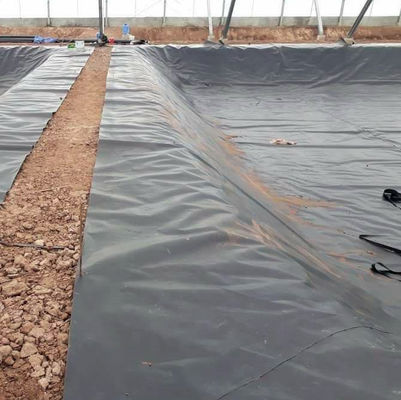魚池 HDPE 地膜 敷設 長さ 50~200m 埋立地や池敷設 ソリューション