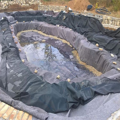 1m-8m 幅 HDPE 地膜 魚類 エビ飼育 最大の保護と効率