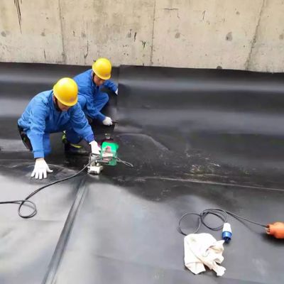 プラスチック製の魚タンクジオメムラン レーナー用HDPE材料と鉱山でのロブスター飼育など