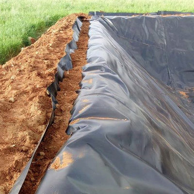 50m~100m 長さ HDPE 地膜ラインナー 密度ポリエチレン池地膜