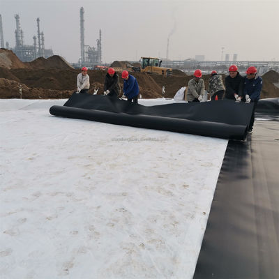 直接販売HDPE 敷地内のトレーニングと0.1mm-2.5mm厚さの滑らかなジオメムラン