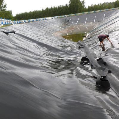 直接販売HDPE 敷地内のトレーニングと0.1mm-2.5mm厚さの滑らかなジオメムラン