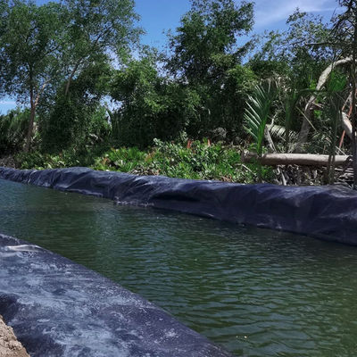 プロジェクトのための総ソリューション HDPE 地膜 0.5mm 1mm 1.5mm 2mm 防水ダム 池面