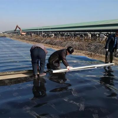 1mm 2mm 厚さ HDPE 地膜 魚の池のラインナー 人工湖の防水用