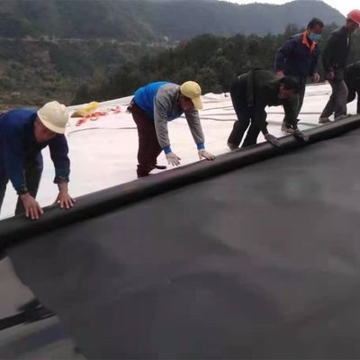 プラスチックの防水池敷き用の二重スムーズ/二重質感の表面HDPEジオメムラン