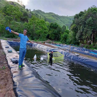 0.75mm HDPE 地膜 水質養殖用水性膜 魚類とガキのタンクラインナー