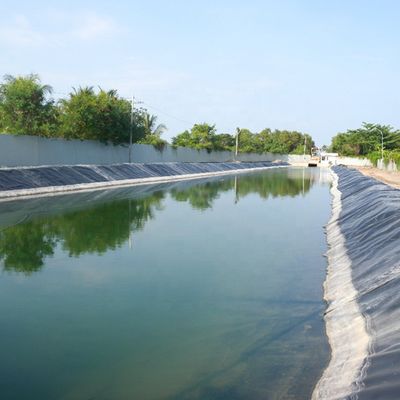 0.75mm HDPE 地膜 水質養殖用水性膜 魚類とガキのタンクラインナー