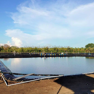工業デザインスタイル Hdpe 地膜 防水 防水 表面