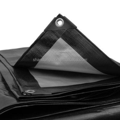 農業用/産業用カバー用UVプラスチック製布のシート付きのPEタパੂਲポリタパール