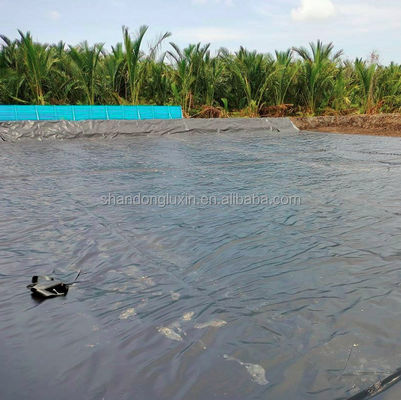 工業デザインスタイル Hdpe 地膜 防水 防水 表面