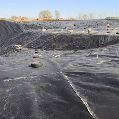 滑らかな表面 0.5mm HDPE 地膜 ラインナー シート 魚飼育池材