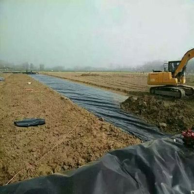 工業設計 スタイルの ゴミ捨て用 滑らかなHDPEジオメムブラン プーンラインナー