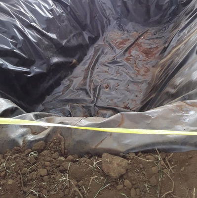産業設計スタイル 2mm HDPE 地膜 水不透明 魚槽と池