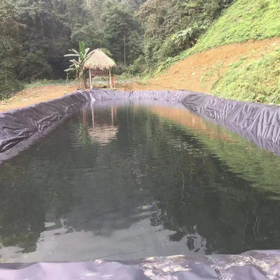 高密度 2mm HDPE プラスチック プーン ラインナー 防水 総ソリューション プロジェクト