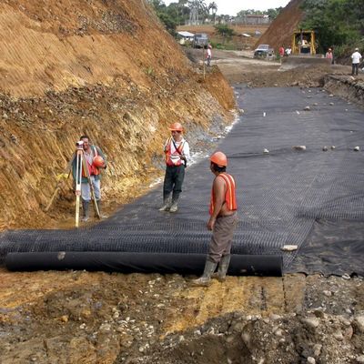 高密度 2mm HDPE プラスチック プーン ラインナー 防水 総ソリューション プロジェクト