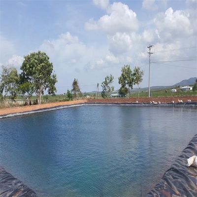 高密度 2mm HDPE プラスチック プーン ラインナー 防水 総ソリューション プロジェクト