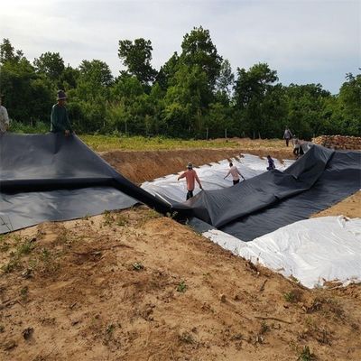 高密度 2mm HDPE プラスチック プーン ラインナー 防水 総ソリューション プロジェクト